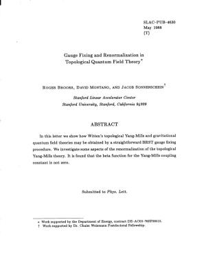 Gauge Fixing and Renormalization in Topological Quantum Field Theory*