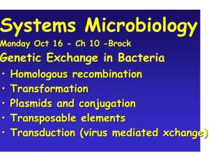 Genetic Exchange in Bacteria