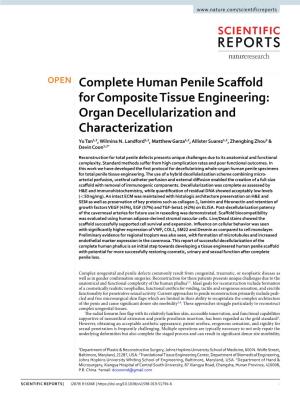 Complete Human Penile Scaffold for Composite Tissue Engineering