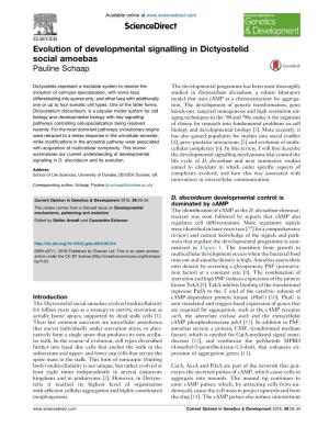 Evolution of Developmental Signalling in Dictyostelid Social Amoebas