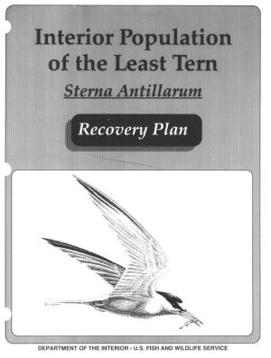 USFWS 1990 Least Tern Recovery Plan.Pdf