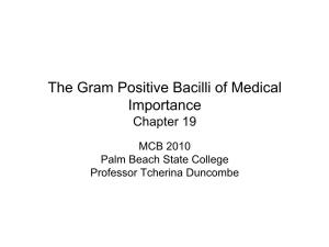 The Gram Positive Bacilli of Medical Importance Chapter 19