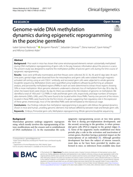 Genome-Wide DNA Methylation Dynamics During Epigenetic