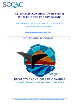 Study and Conservation of Sperm Whales in the Canary Islands