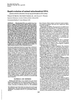 Rapid Evolution of Animal Mitochondrial DNA (Primates/Restriction Endonuclease Cleavage Maps/Gel Electrophoresis/DNA Melting) WESLEY M