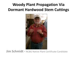 Woody Plant Propagation Via Dormant Hardwood Stem Cuttings