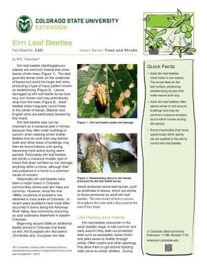 Elm Leaf Beetles Fact Sheet No