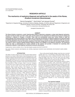 The Mechanics of Explosive Dispersal and Self-Burial in the Seeds of the Filaree, Erodium Cicutarium (Geraniaceae)