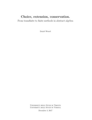Choice, Extension, Conservation. from Transﬁnite to ﬁnite Methods in Abstract Algebra