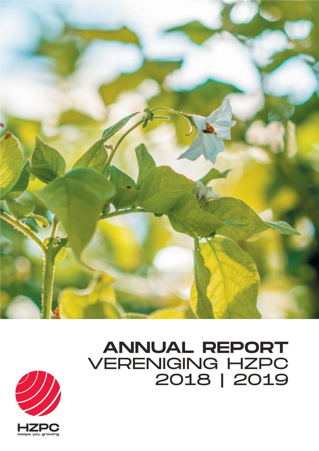 ANNUAL REPORT VERENIGING HZPC 2018 | 2019 Credits