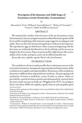 Description of the Immature and Adult Stages of Ectatomma Vizottoi (Formicidae: Ectatomminae) by Alexsandro S