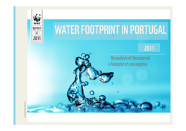 WATER FOOTPRINT in PORTUGAL an Analysis of the External Footprint of Consumption