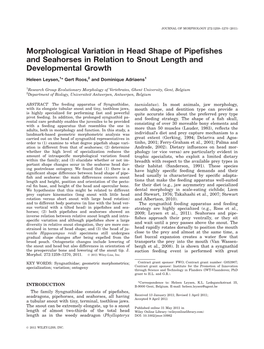 Morphological Variation in Head Shape of Pipefishes and Seahorses In