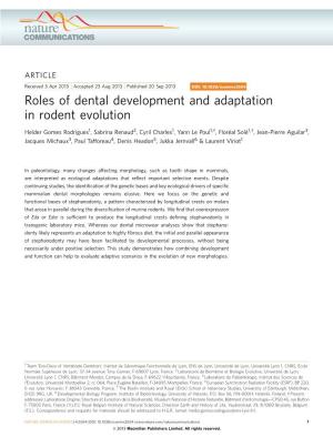 Roles of Dental Development and Adaptation in Rodent Evolution
