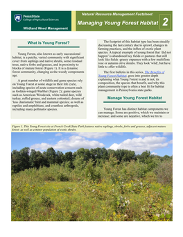 Managing Young Forest Habitat 2 Wildland Weed Management