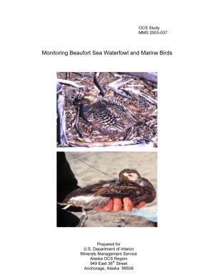 Monitoring Beaufort Sea Waterfowl and Marine Birds