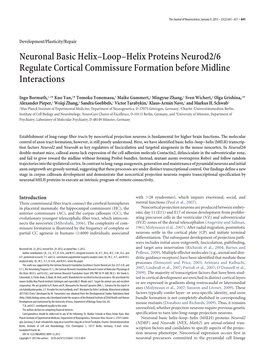 Neuronal Basic Helix–Loop–Helix Proteins Neurod2/6 Regulate Cortical Commissure Formation Before Midline Interactions