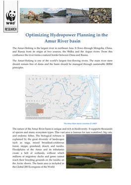 Optimizing Hydropower Planning in the Amur River Basin