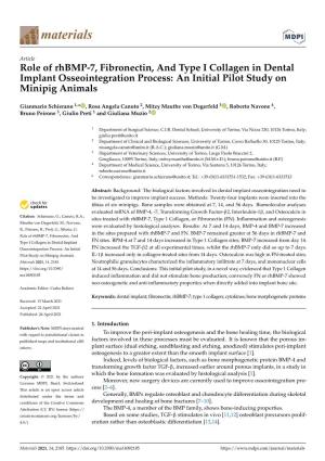 Role of Rhbmp-7, Fibronectin, and Type I Collagen in Dental Implant Osseointegration Process: an Initial Pilot Study on Minipig Animals