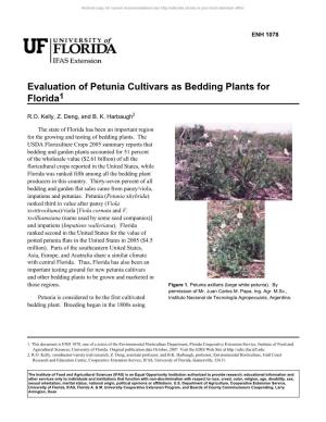 Evaluation of Petunia Cultivars As Bedding Plants for Florida1