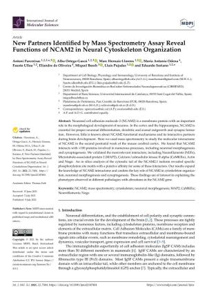 New Partners Identified by Mass Spectrometry Assay Reveal Functions of NCAM2 in Neural Cytoskeleton Organization