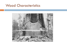Wood Characteristics Today