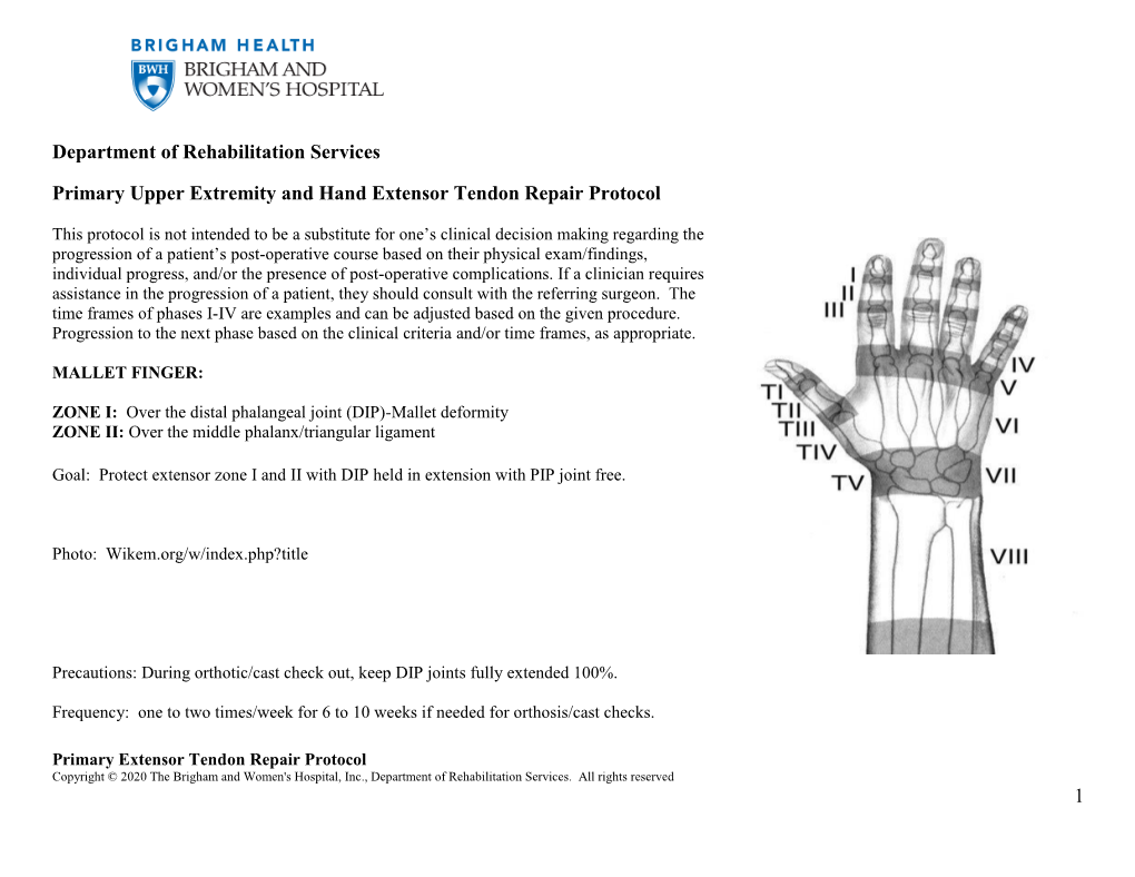 Upper Extremity Extensor Tendon Repair Protocol Docslib