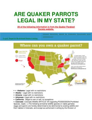 Are Quaker Parrots Legal in My State?