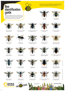 Foe-UK-Bee-Identification-Guide.Pdf