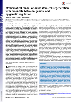 Mathematical Model of Adult Stem Cell Regeneration with Cross-Talk Between Genetic and Epigenetic Regulation