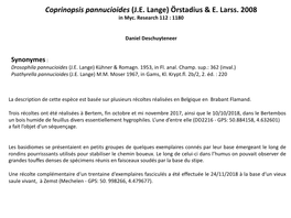 Coprinopsis Pannucioides (JE Lange) Örstadius & E. Larss. 2008