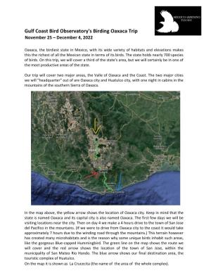 Gulf Coast Bird Observatory's Birding Oaxaca Trip November 25 – December 4, 2022