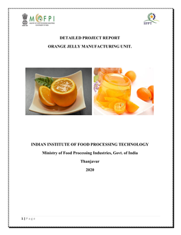 Detailed Project Report Orange Jelly