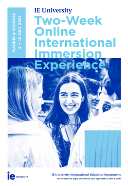 Two-Week Online International Immersion Experience
