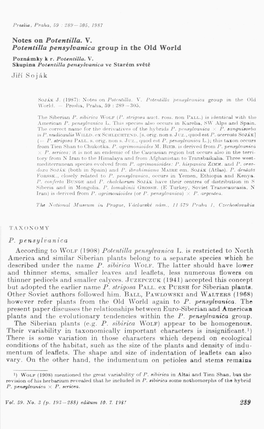 Notes on Potentilla. V. Potentilla Pensylvanica Group in the Old World