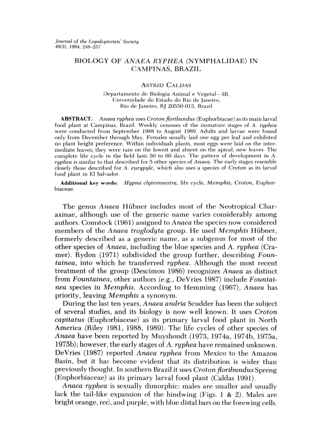 Biology of Anaea Ryphea (Nymphalidae) in Campinas, Brazil