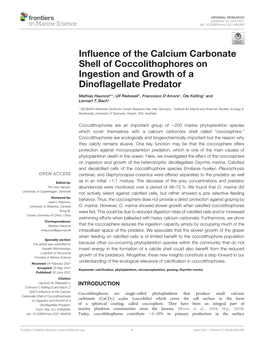 Influence of the Calcium Carbonate Shell Of