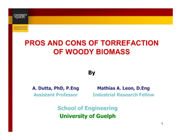 Pros and Cons of Torrefaction of Woody Biomass