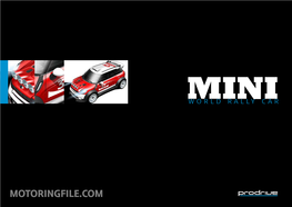 Miniworld Rally Car