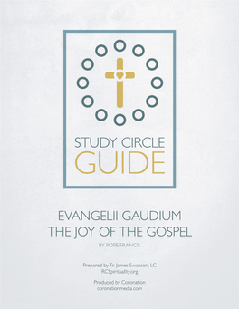 Evangelii Gaudium the Joy of the Gospel by Pope Francis