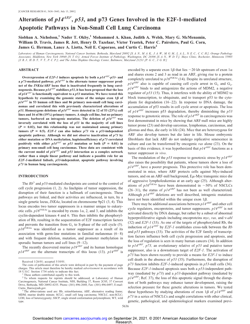 Alterations of P14arf, P53, and P73 Genes Involved in the E2F-1-Mediated Apoptotic Pathways in Non-Small Cell Lung Carcinoma