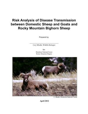 Bighorn Sheep Disease Risk Assessment