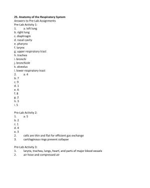 25. Anatomy of the Respiratory System Answers to Pre-Lab Assignments Pre-Lab Activity 1: 1