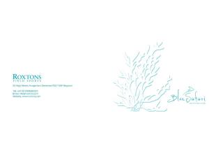 Roxtons-Blue-Safari-Brochure.Pdf