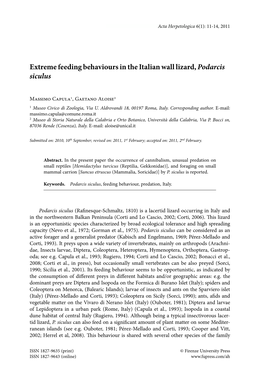 Extreme Feeding Behaviours in the Italian Wall Lizard, Podarcis Siculus