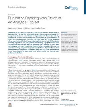 Elucidating Peptidoglycan Structure: an Analytical Toolset