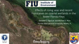 Groundwater Salinization in the Lower Florida Keys Following Hurricane Irma Storm Surge
