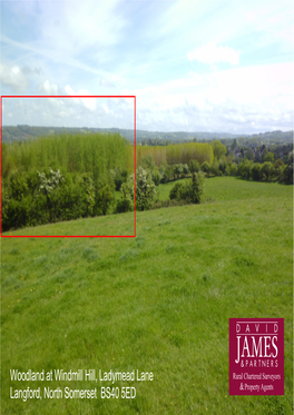 Woodland at Windmill Hill, Ladymead Lane Langford, North Somerset BS40 5ED