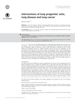 Intersections of Lung Progenitor Cells, Lung Disease and Lung Cancer