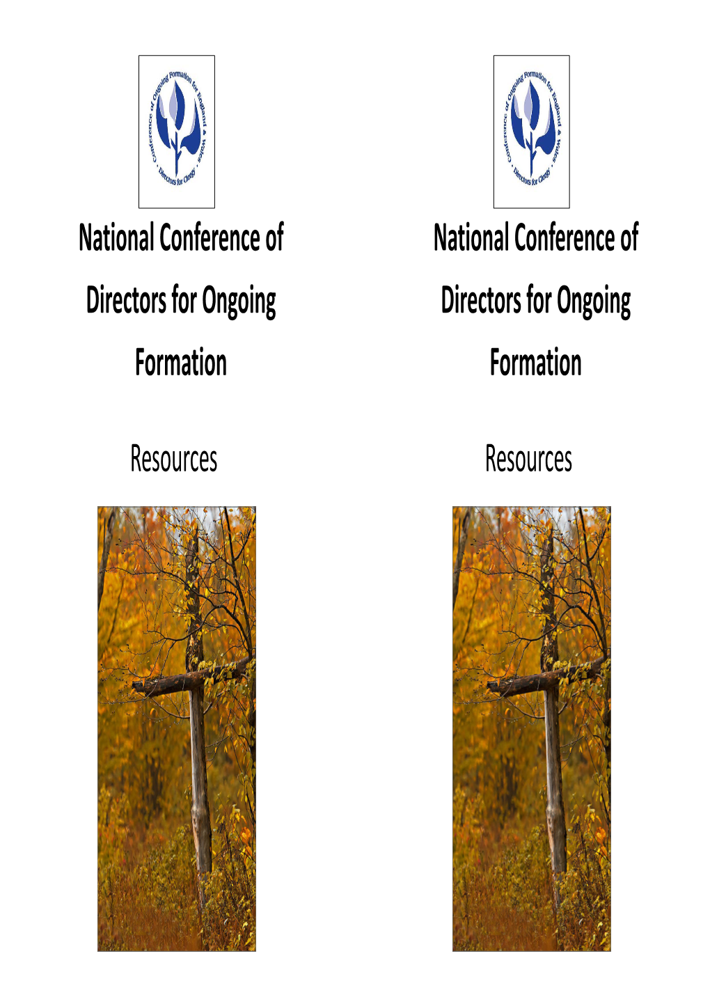 National Conference of Directors for Ongoing Formation Resources